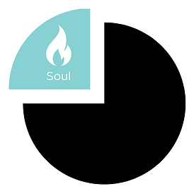 pie chart with soul
