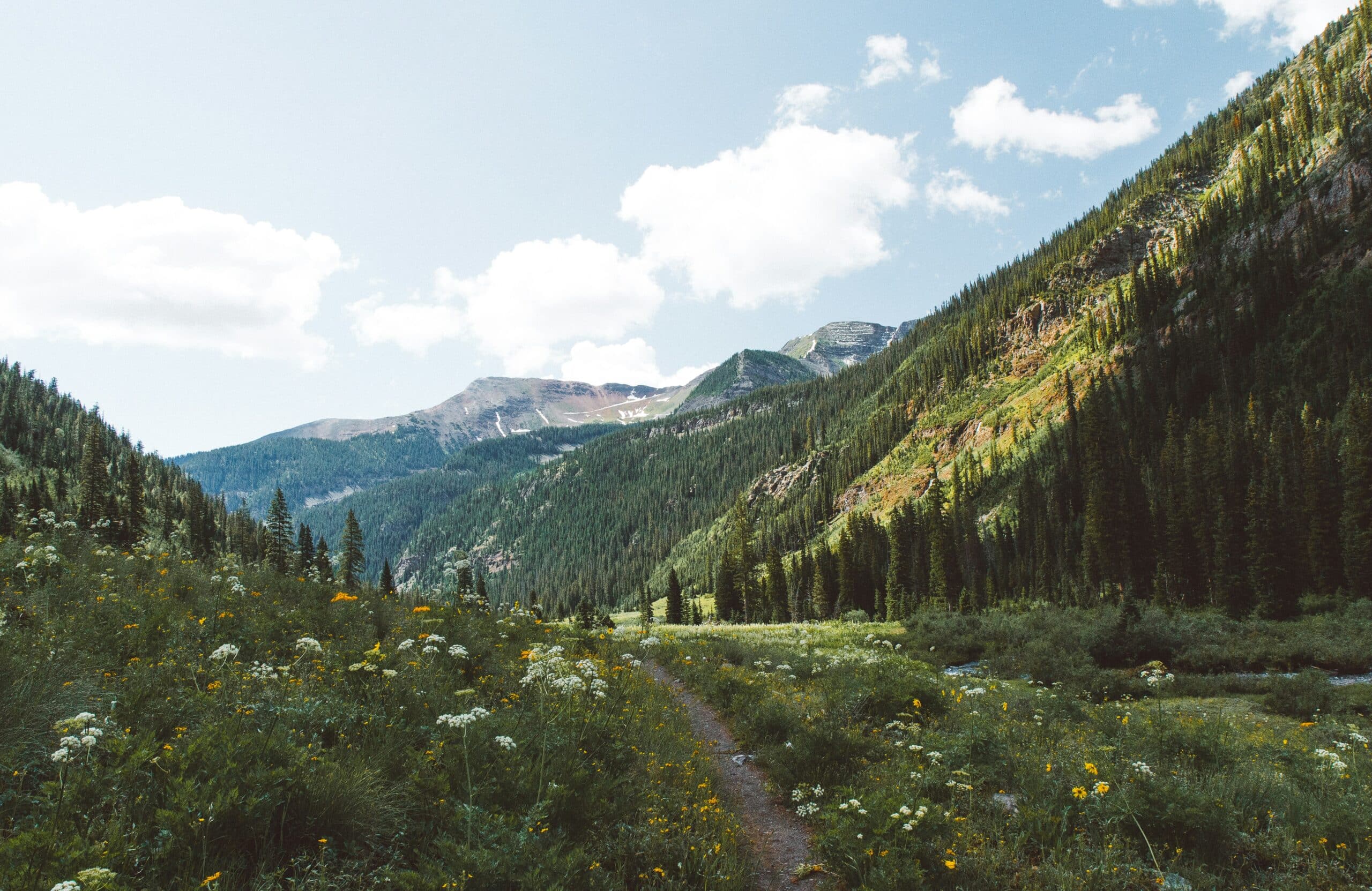 Planting With Purpose: Valle